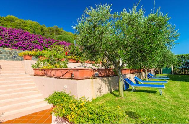 Usticaappartamenti Ca'serta Isola di Ustica Bagian luar foto